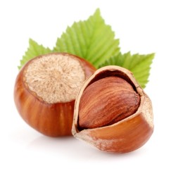Olio Puro di Nocciola 100% senza profumo