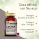 Sanaos - articolazioni