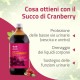Succo di Cranberry Bio (Mirtillo Rosso) per vie urinarie - Spremitura 100% Pura