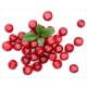 Succo di Cranberry Bio (Mirtillo Rosso) per vie urinarie - Spremitura 100% Pura