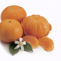 Olio Essenziale di Mandarino  10 ml
