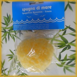 Spugna di Mare cm. 7/8 circa Prima Scelta