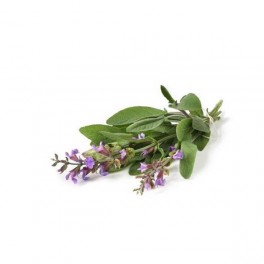 Olio Essenziale di Salvia Officinale 10 ml