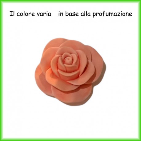 Gesso profumato - stella marina piccola